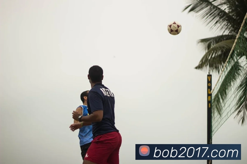 bob体育平台生态图